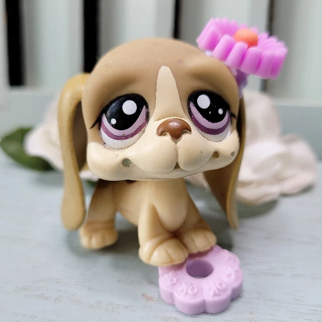 LPS has 1465 Basset